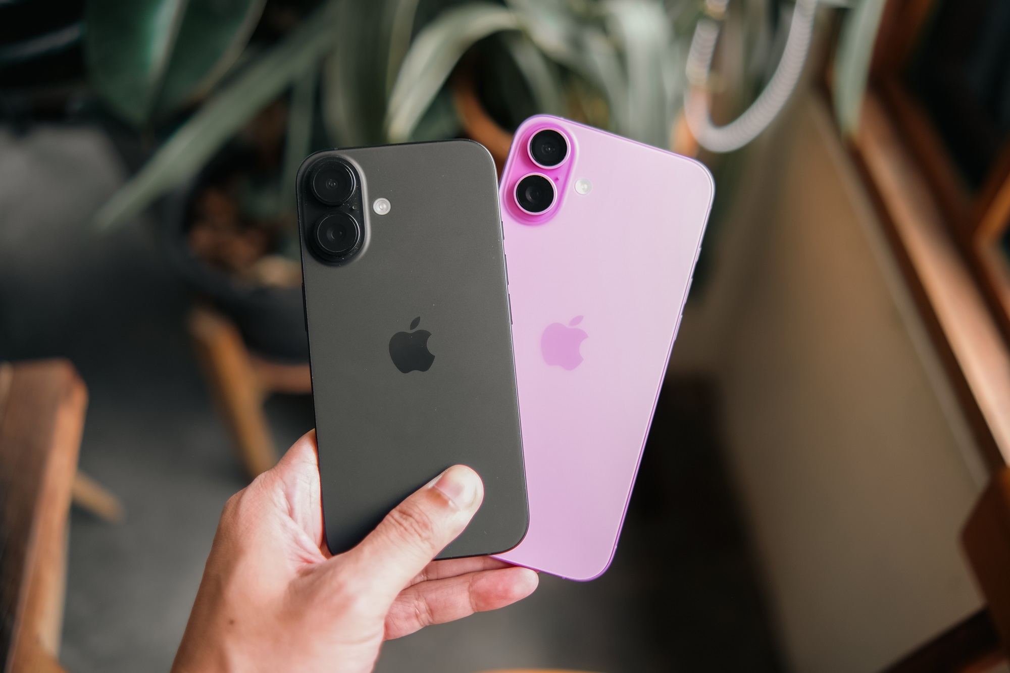 В Госдуме исключили запрет на продажу iPhone в России