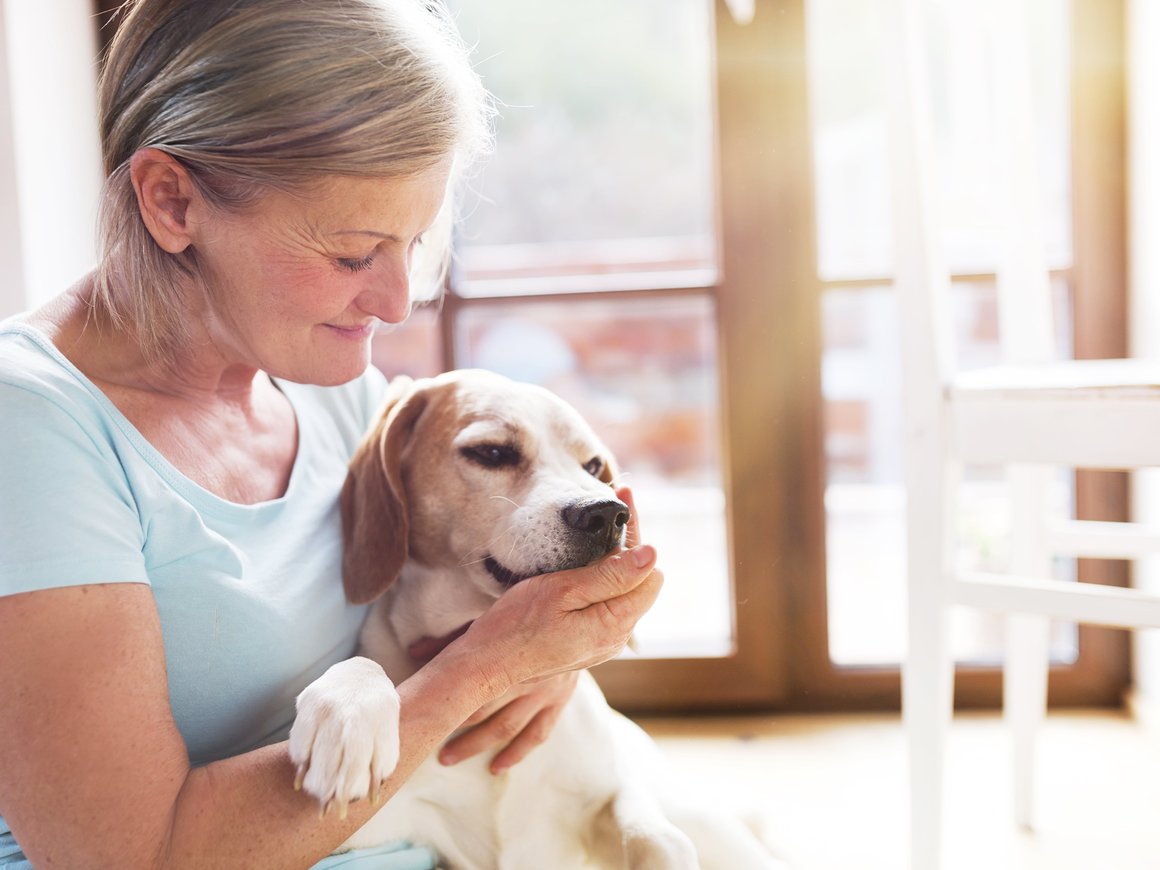 В аэропортах США дежурят собаки-терапевты. Они помогают избавить путешественников от стресса