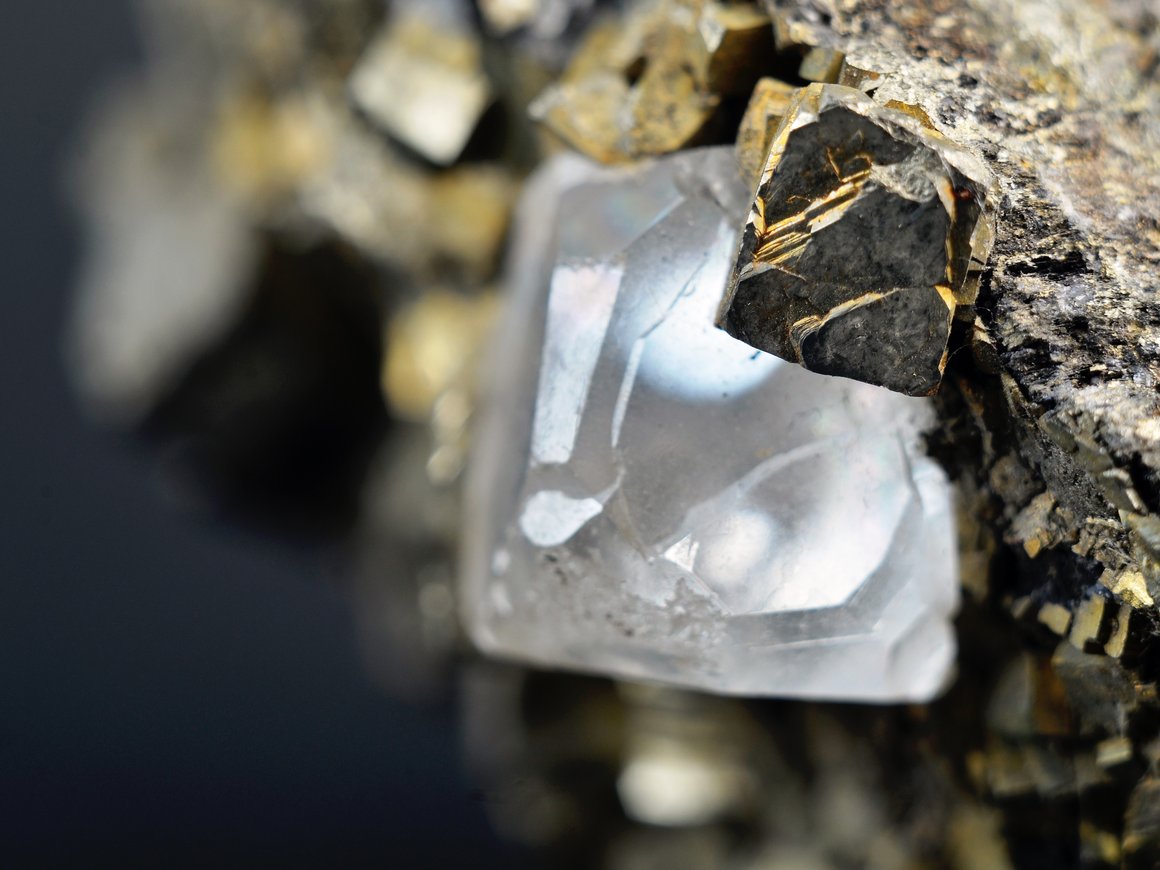 «АЛРОСА» расскажет о перспективах розничного рынка драгоценных камней