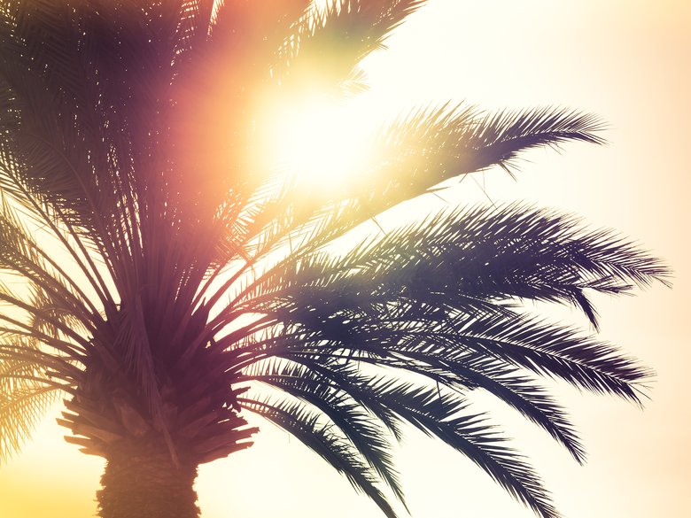 10 причин предпочесть Кремниевый берег Кремниевой Долине