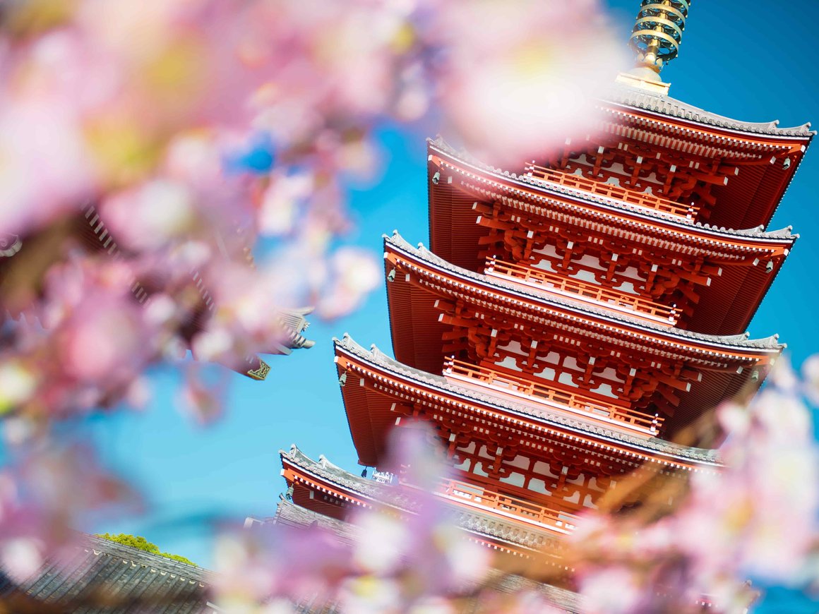 OpenAI откроет свой третий зарубежный офис — Bloomberg