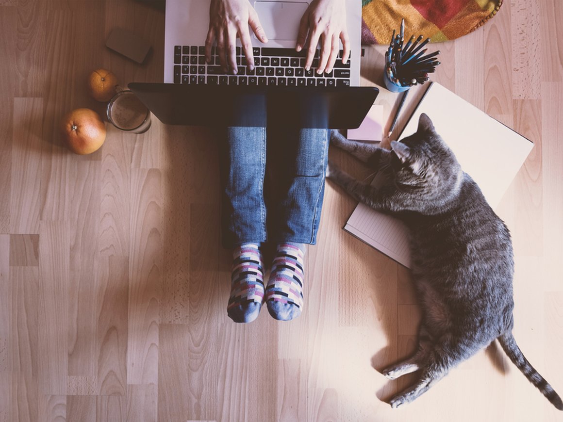 «Смешно, но я начала разговаривать с ноутбуком». Как студенты-стажёры учатся и работают на удаленке