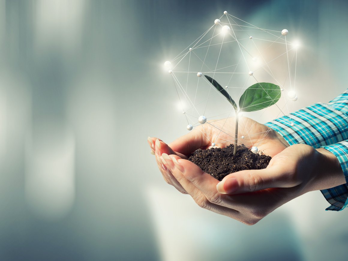 Приложения из Поднебесной: как китайский опыт поможет развивать цифровые экосистемы в России