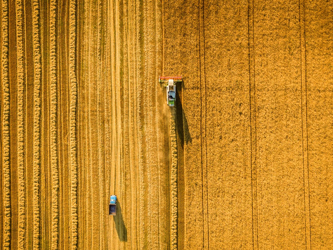 «Сколково» и «Русагро» ищут инновационные проекты для участия в конкурсе RUSAGRO TECH CHALLENGE