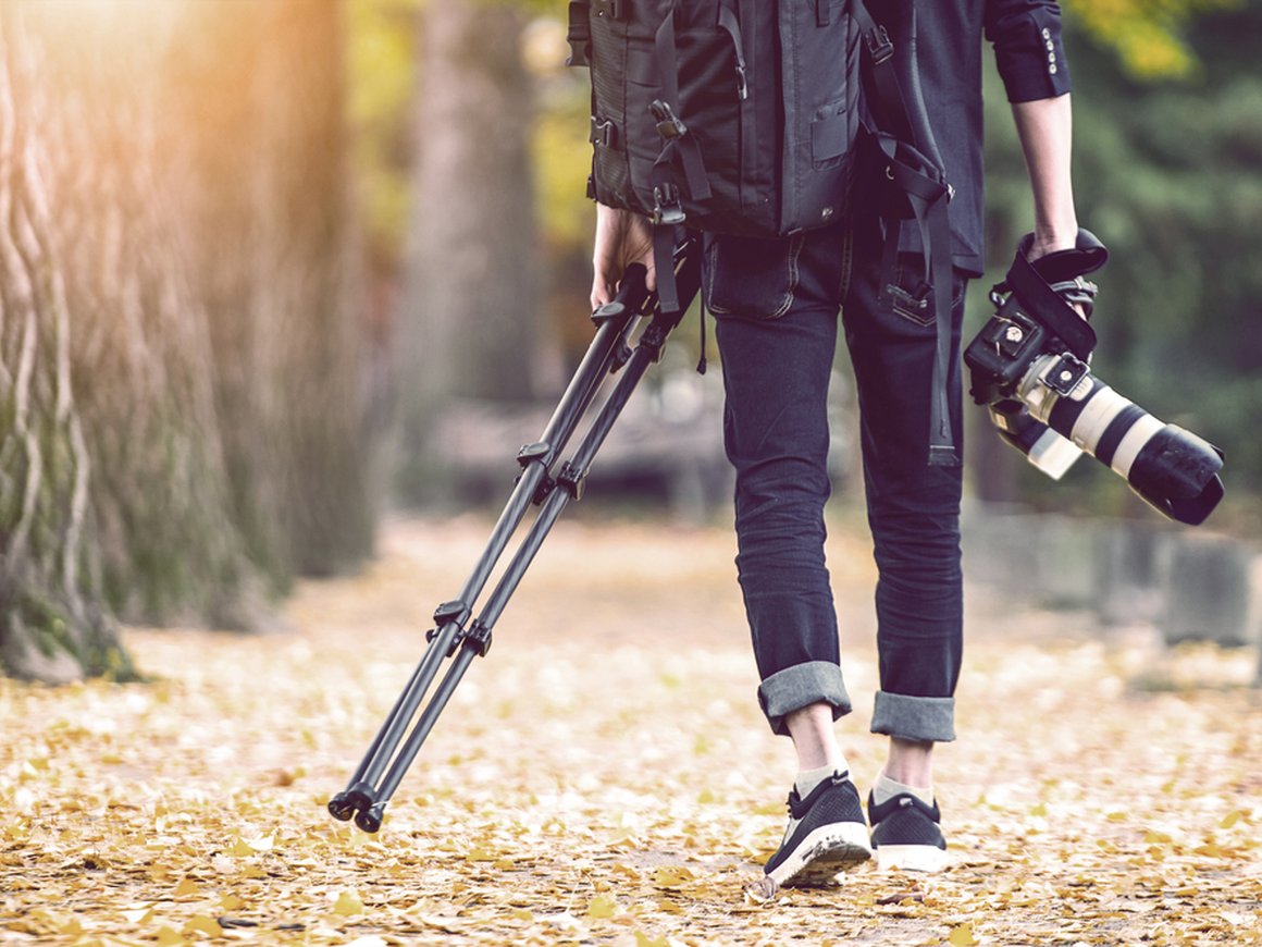 Adobe случайно удалила фотографии пользователей при обновлении приложения Lightroom