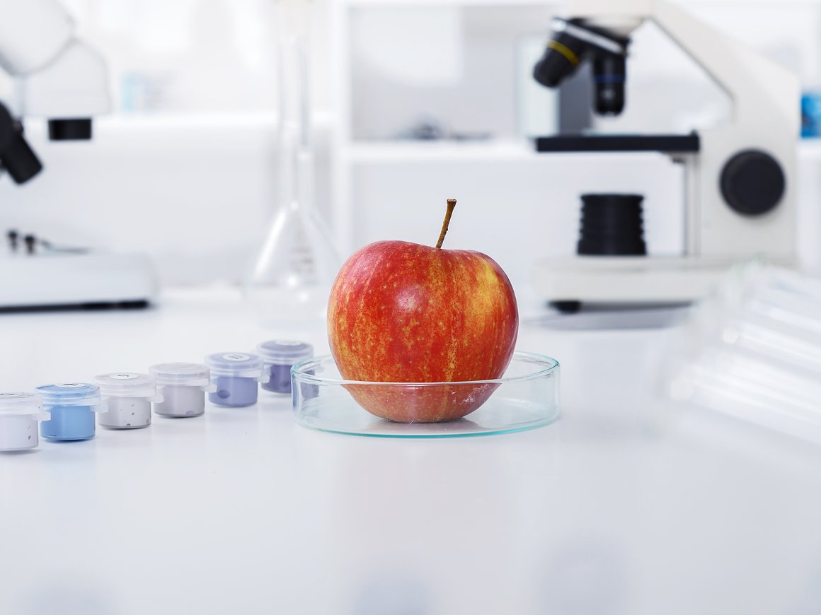 Конференция DeepFoodTech 2023: узнать, как ученые собираются накормить планету, и попробовать еду будущего