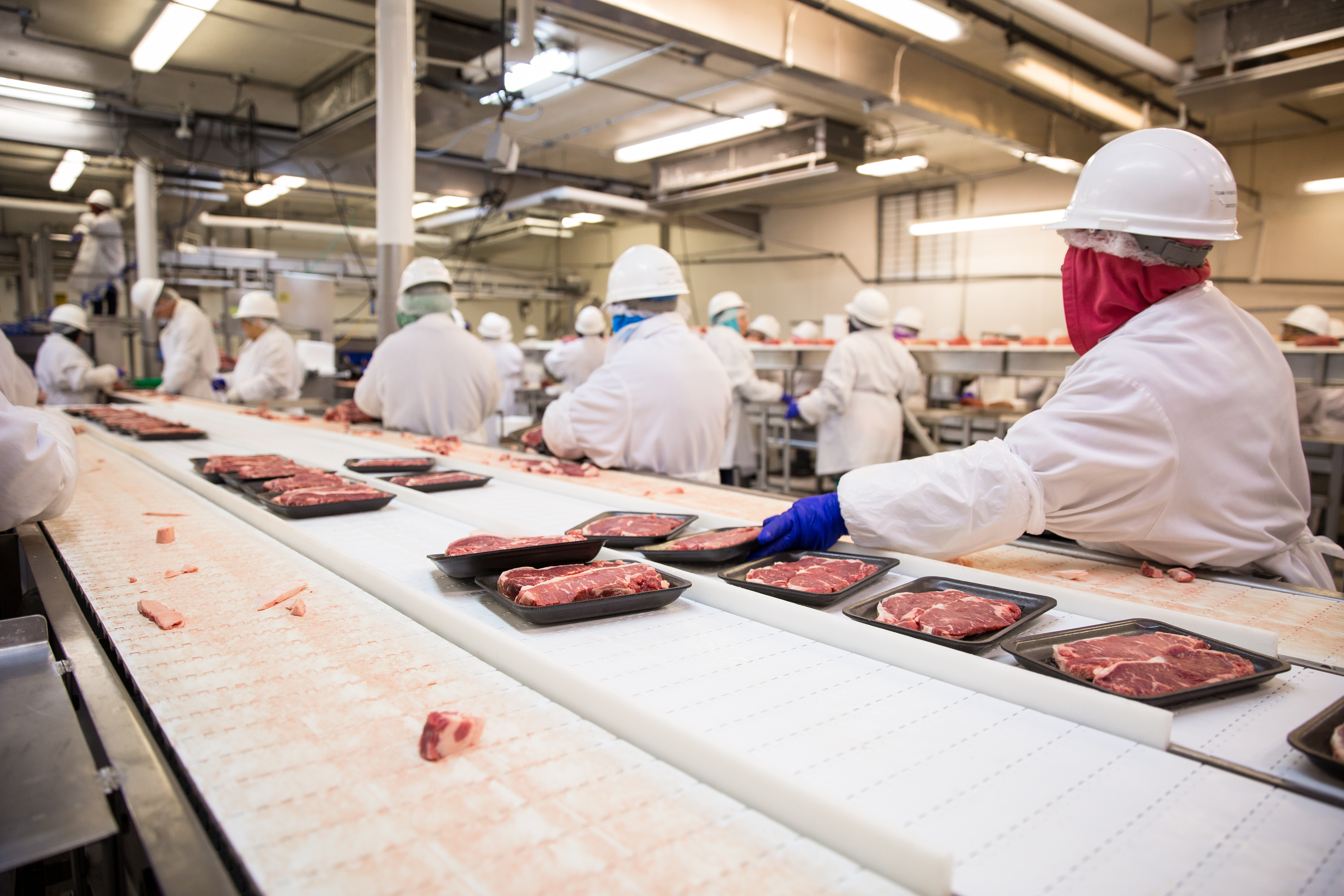 Future Meat открыла первую в мире фабрику культивированного мяса
