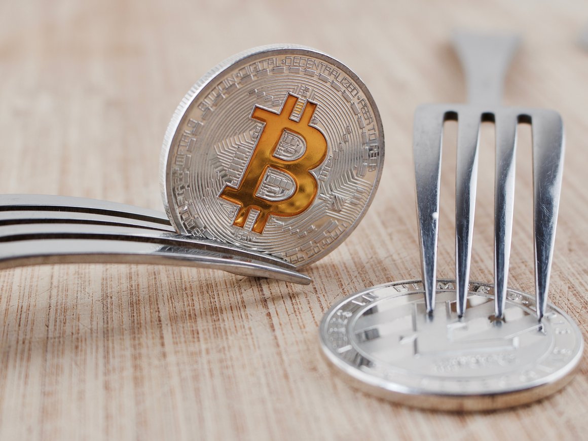 Биткоин и Bitcoin Cash: различия, преимущества и прогнозы на будущее