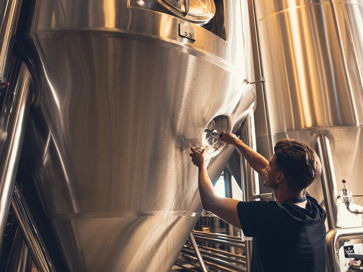 Хочу стать пивоваром или виноделом. Куда идти учиться?