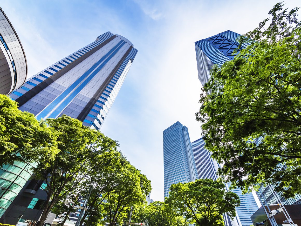 Акции «зеленых» компаний резко выросли на фоне экологической политики администрации Байдена