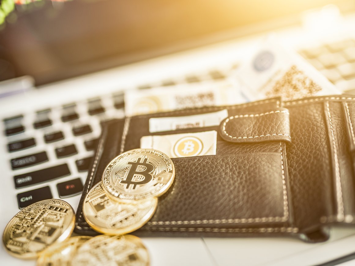 Хакер отказывает властям Германии в доступе к $64 млн в биткоинах