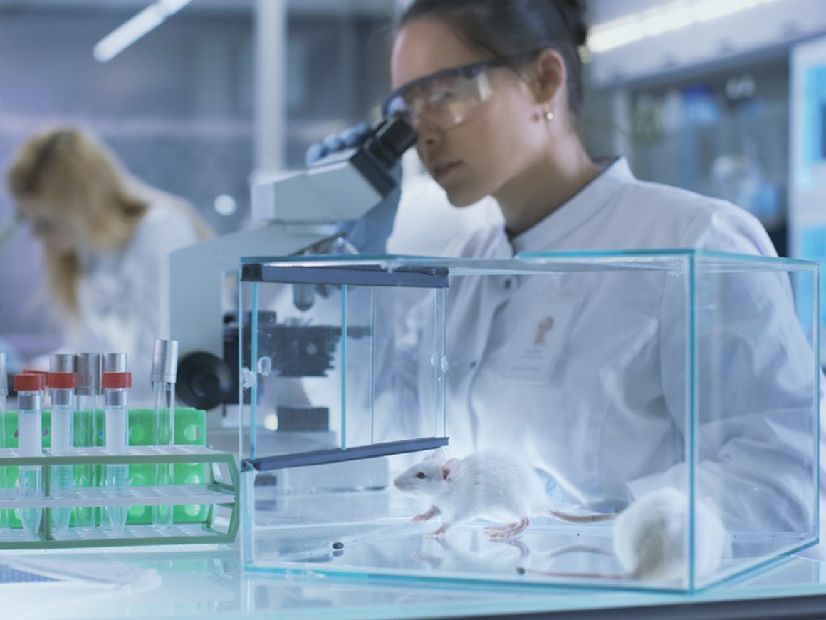 Израильские ученые нашли способ продлить жизнь