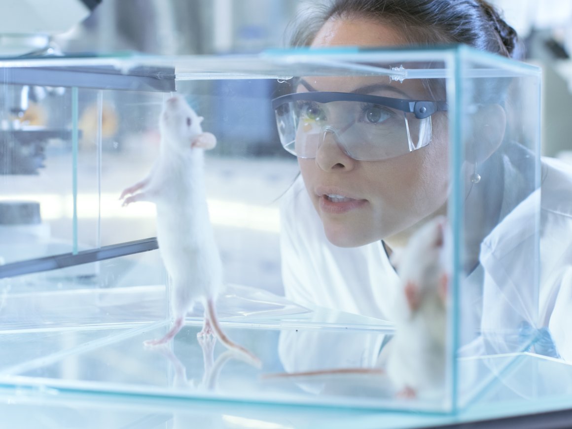 Ученые МГУ и Neiry разработали технологию для общения с животными