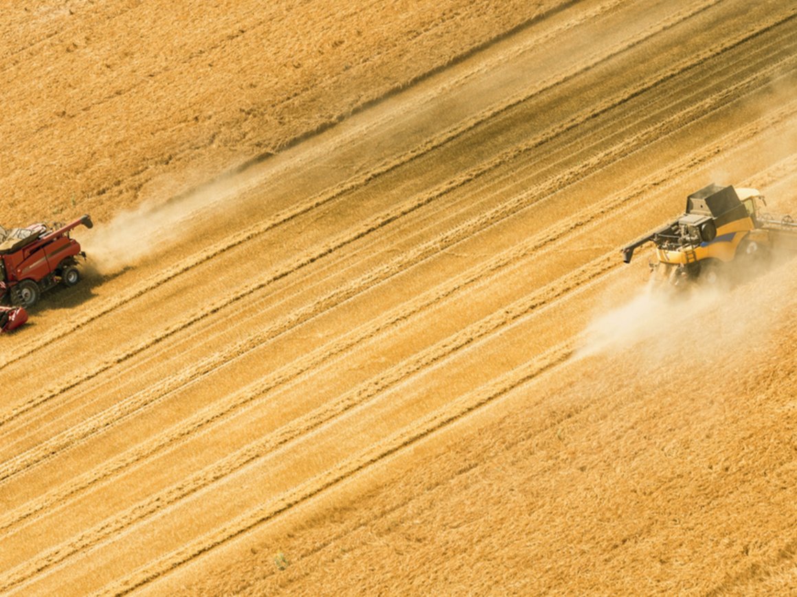 Американский AgroTech-стартап Green Growth с российскими корнями привлек первые инвестиции