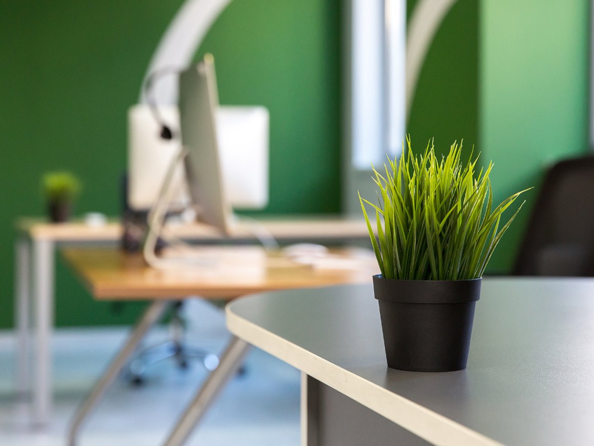 Элементы природы улучшают продуктивность офисных сотрудников. Вот как это использовать