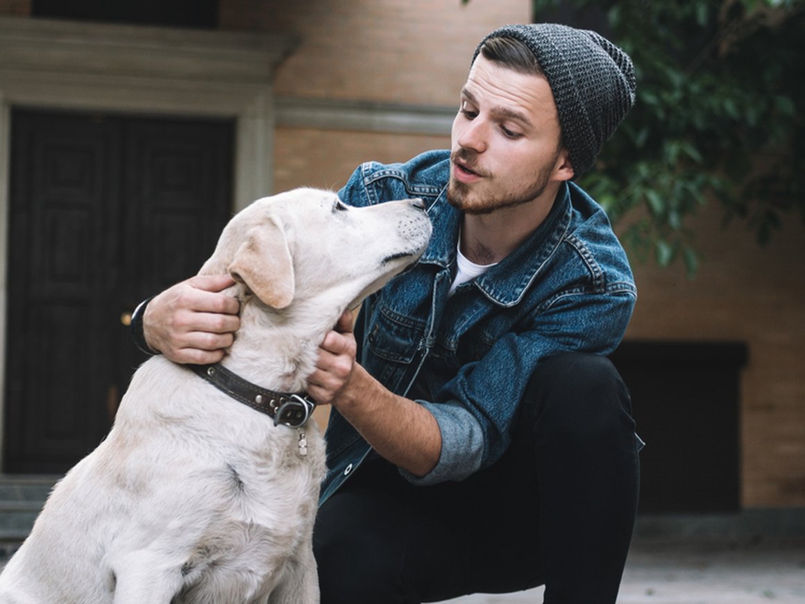 Жителей Тель-Авива обяжут сдавать ДНК собак для борьбы с проблемой фекалий на улицах