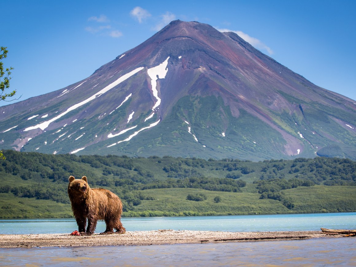 Россияне смогут использовать ваучеры на зарубежные туры для поездок по стране