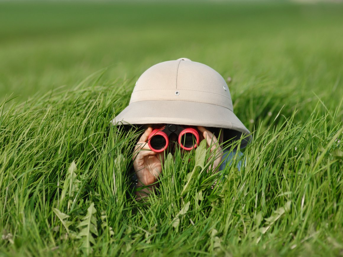 Продуктовый скаутинг: как оптимизировать затраты при запуске новинки