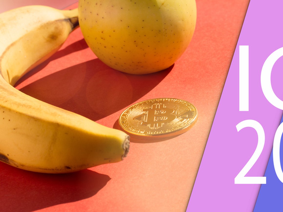 Все о трендах ICO-рынка: результаты исследования Starta Ventures