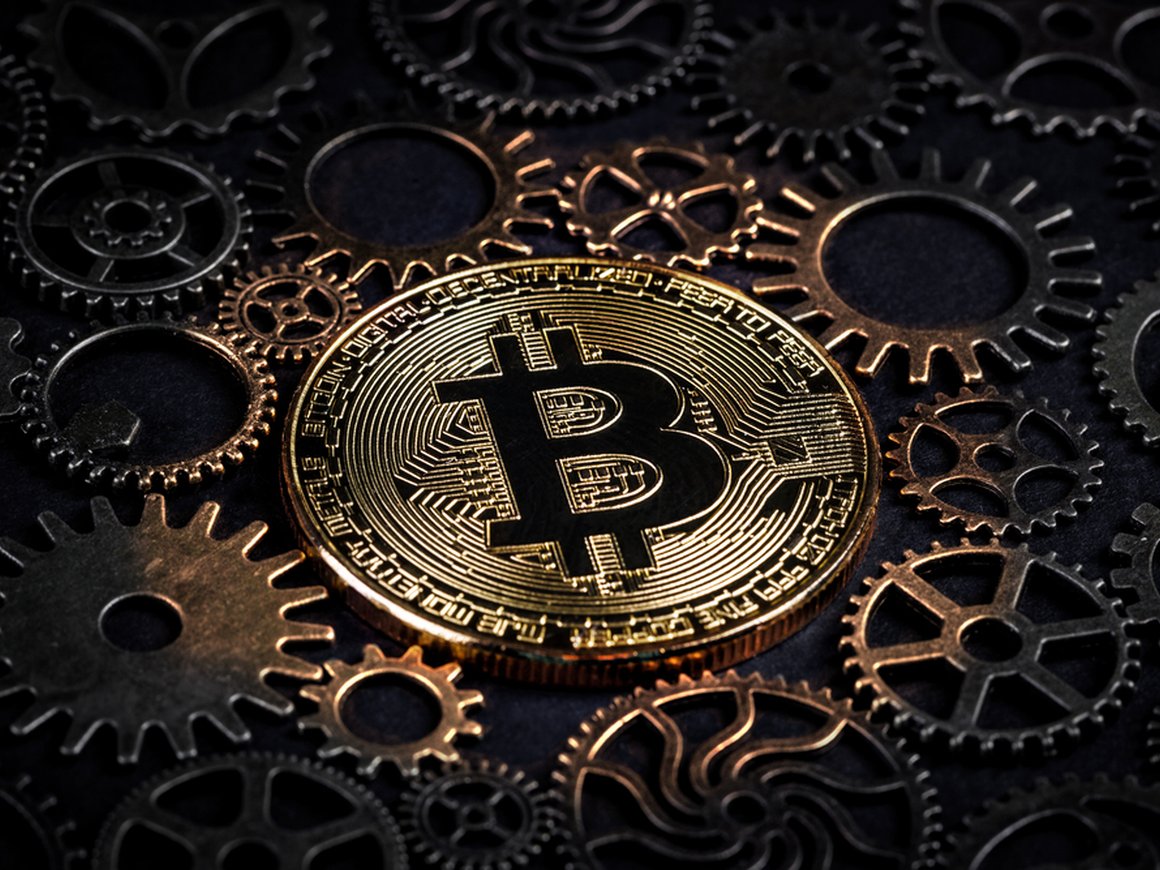 Вышка научит создавать блокчейн-проекты