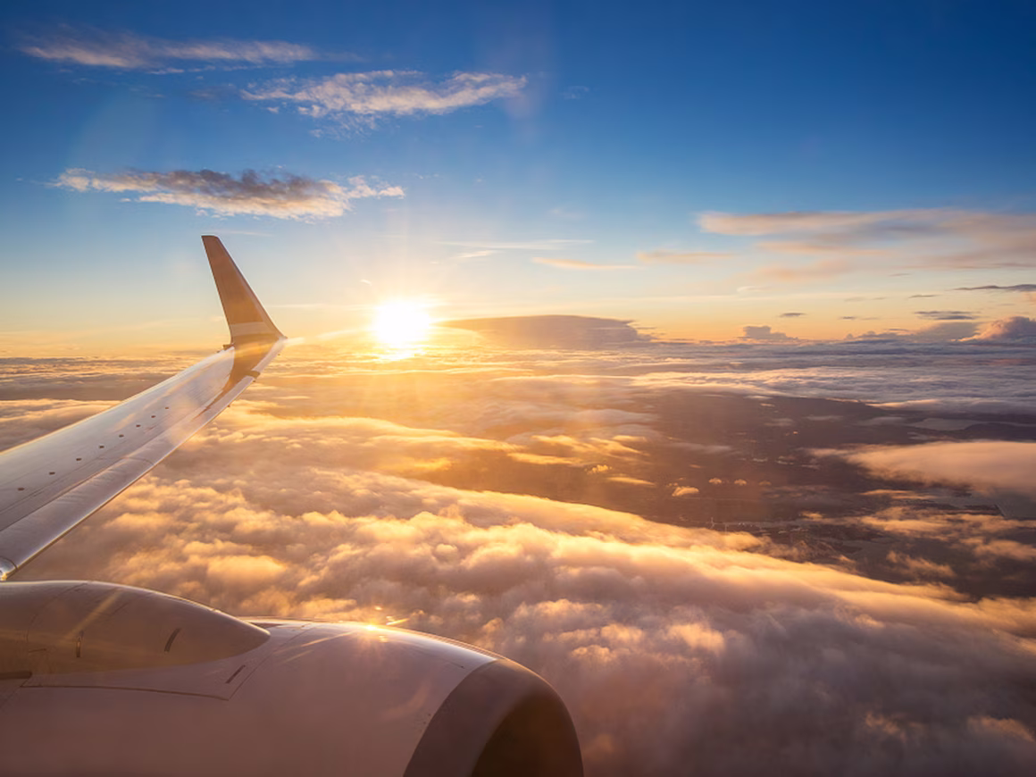 Названа доля желающих покинуть Россию