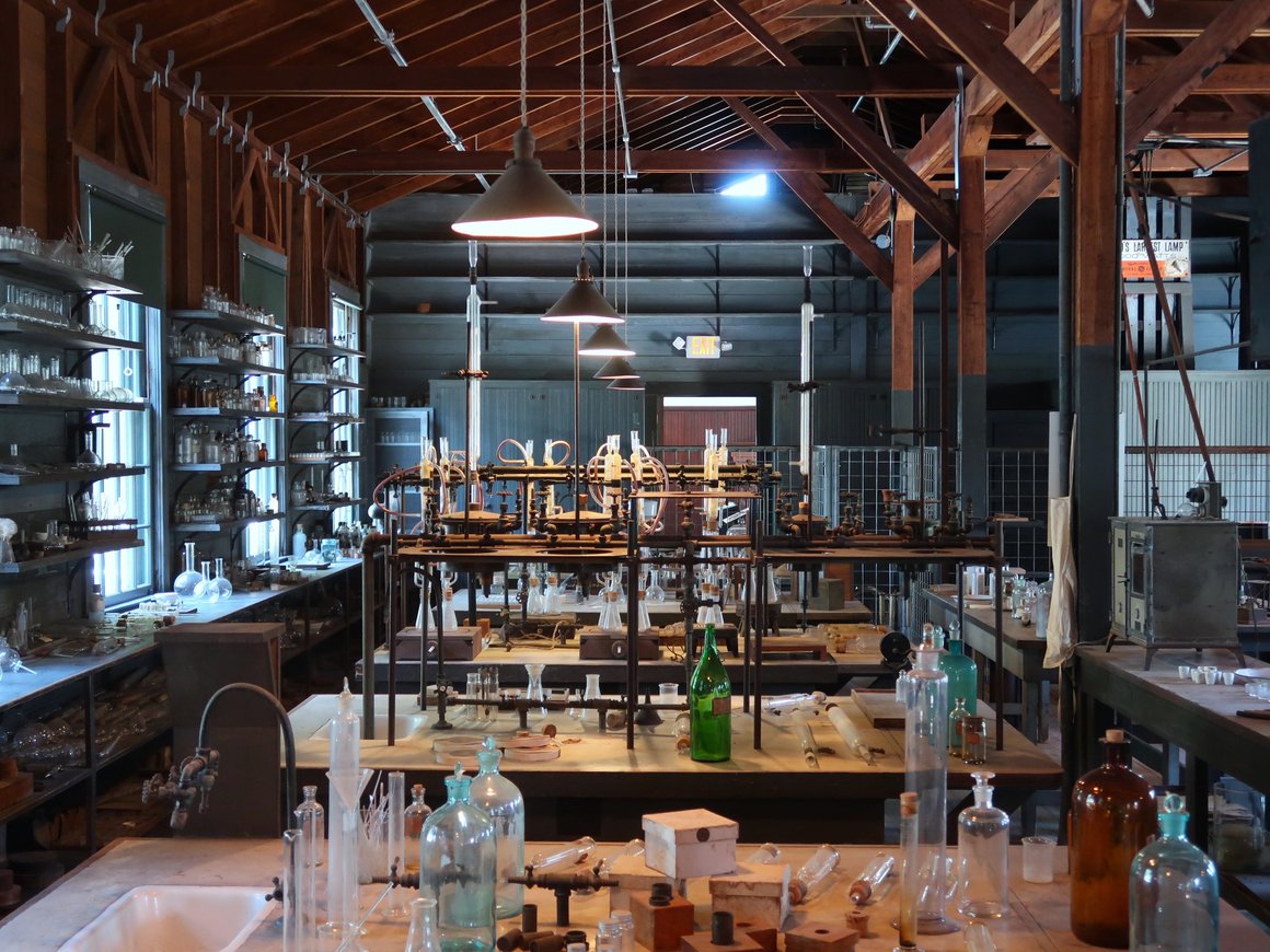 В России начнут производить съедобные бактерии