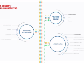 Project Marketing составили карту экосистемы стартапов Беларуси