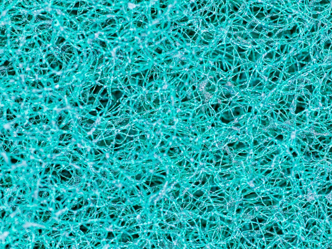 Школьники создали NLP-модель, которая при генерации текстов учитывает здравый смысл