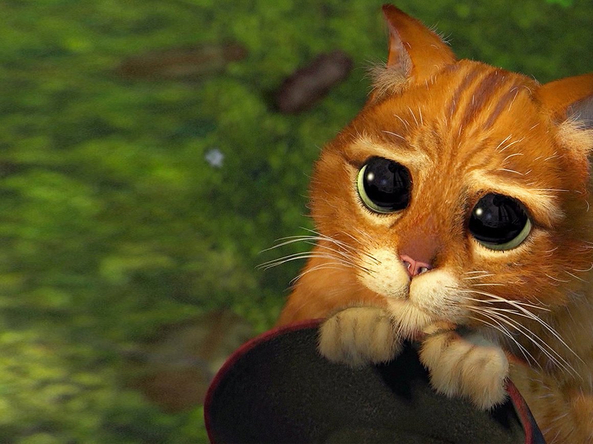 «Помайните, пожалуйста, две минуты. Это поможет нам и дальше выкладывать для вас пиратские фильмы»