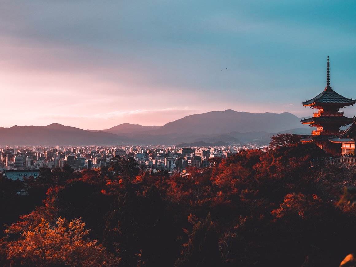 Японские компании остаются в РФ: с российского рынка ушли только 4 из 168