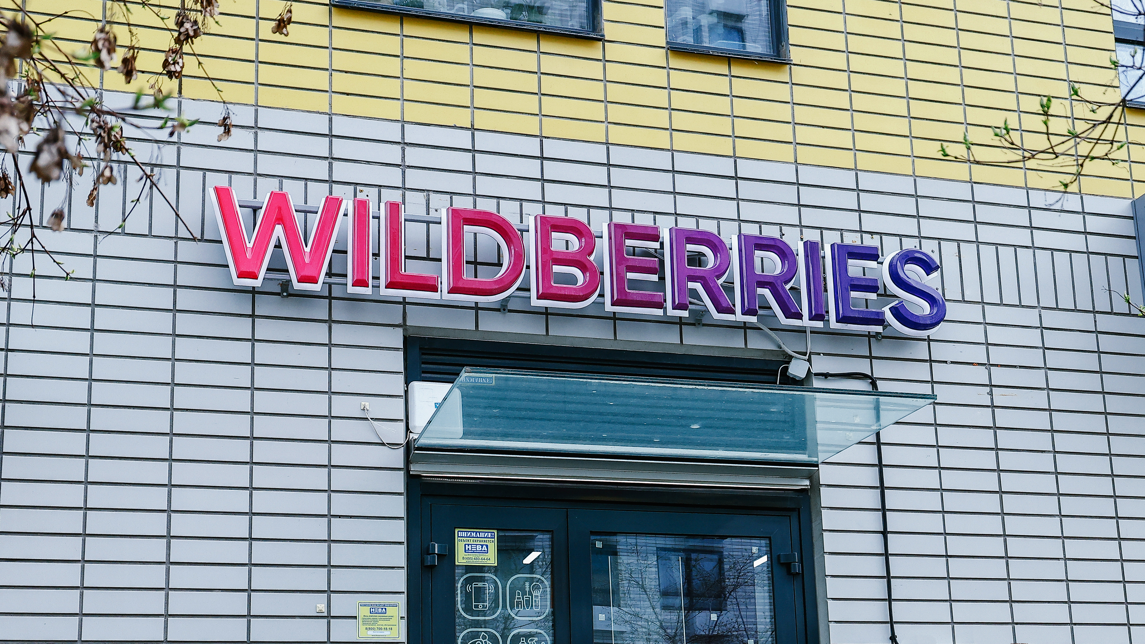 Кешбэк «Ягодками»: Wildberries запустил собственную программу лояльности