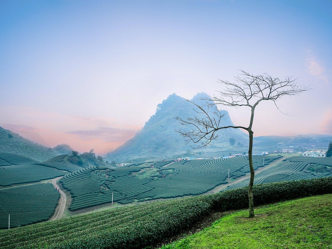 Россия и Вьетнам расширят маршрутную сеть авиаперелетов — Минэкономразвития