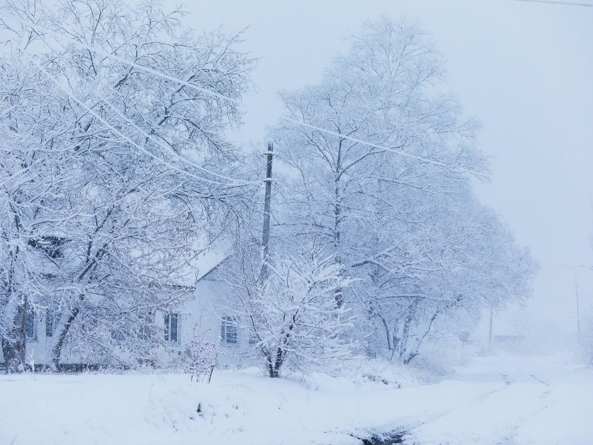 Глава Минпромторга раскритиковал работу автомобилей Tesla в русскую зиму