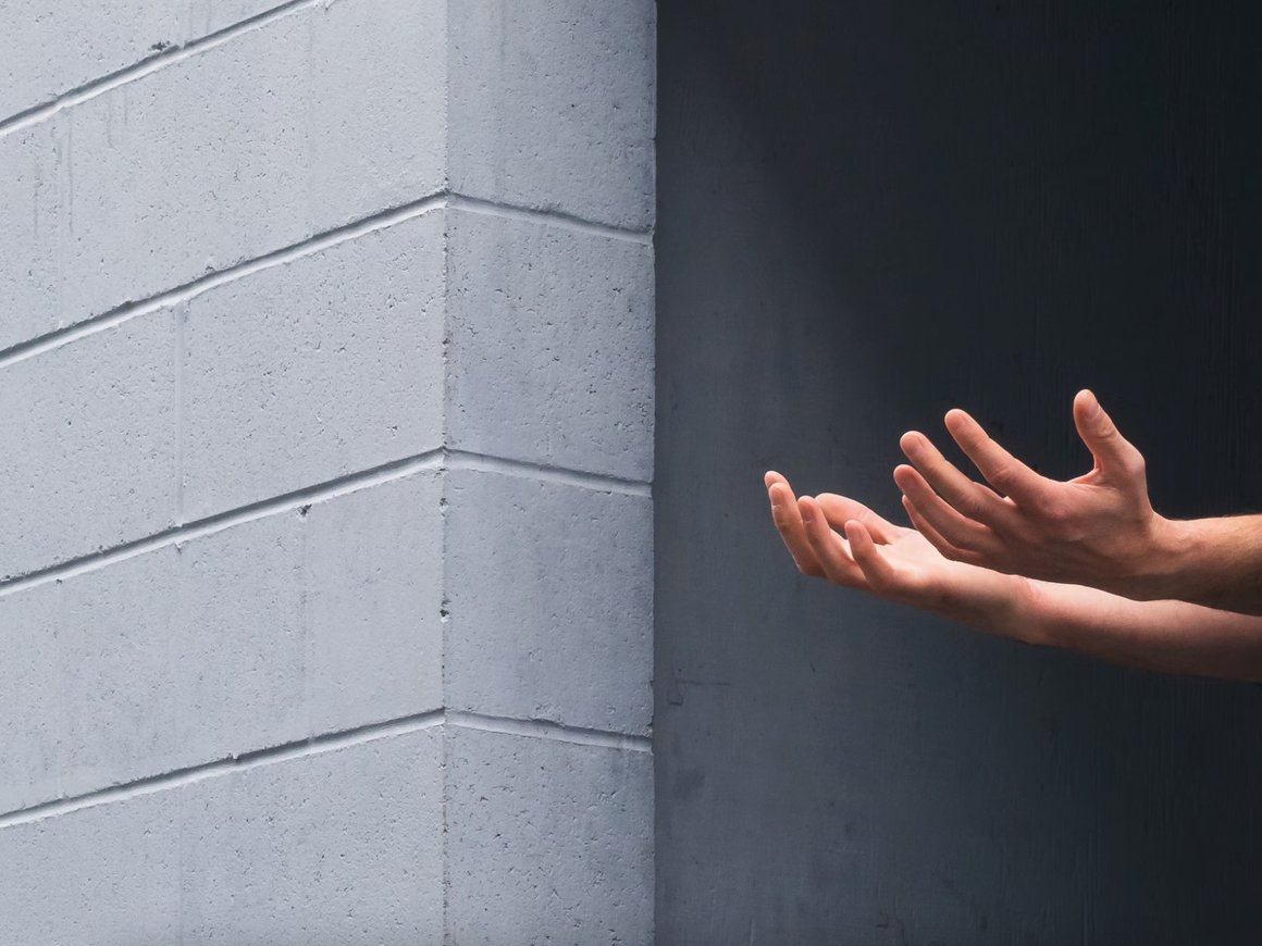 Skillbox начнет бесплатно обучать бывших заключенных