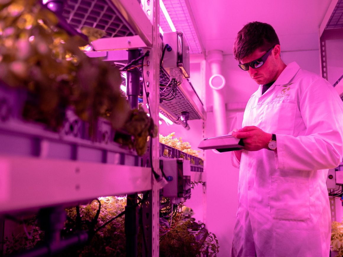 YellowRockets запустила акселератор для фудтех-компаний Foodtech Russia Accelerator