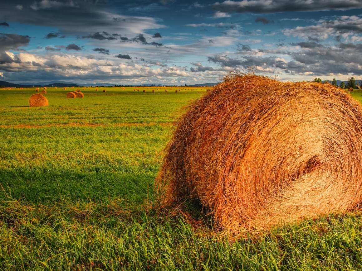 Открыт прием заявок на конкурс агротех-проектов Agro Tech Challenge