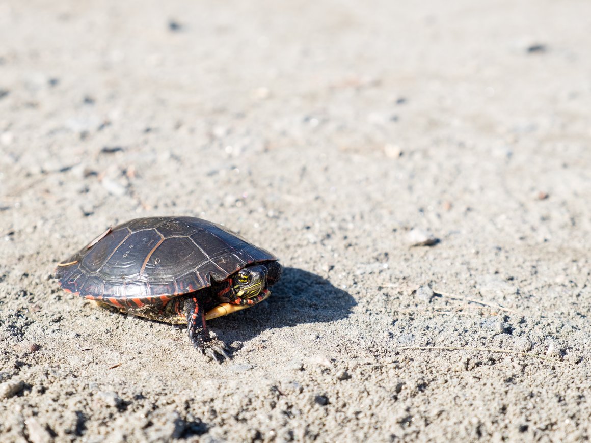 Когда разговоров больше, чем дела: как исправить замедление работы команды