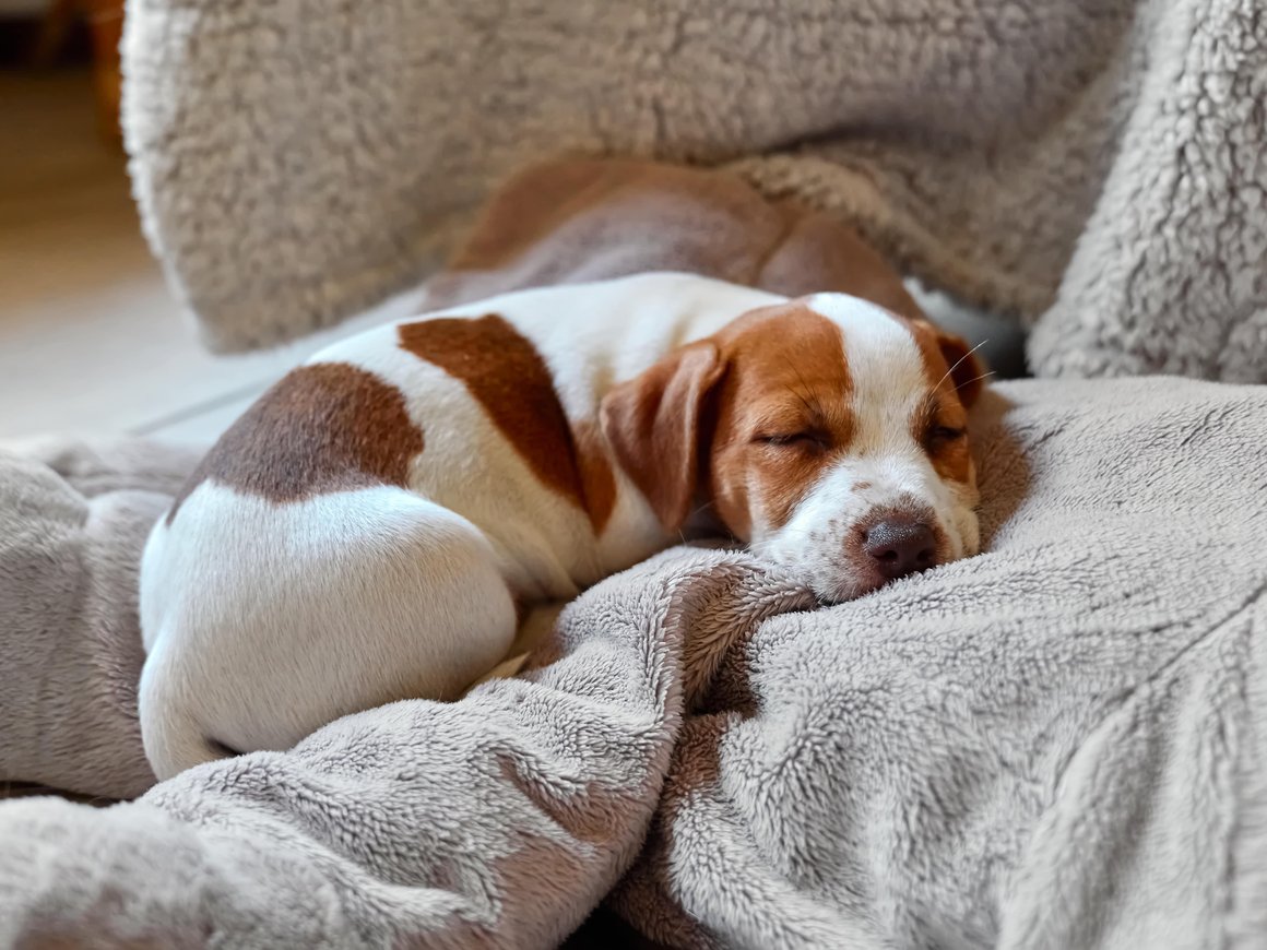 От подушек для глаз до одеял с вентиляцией: 10 российских производителей товаров для сна