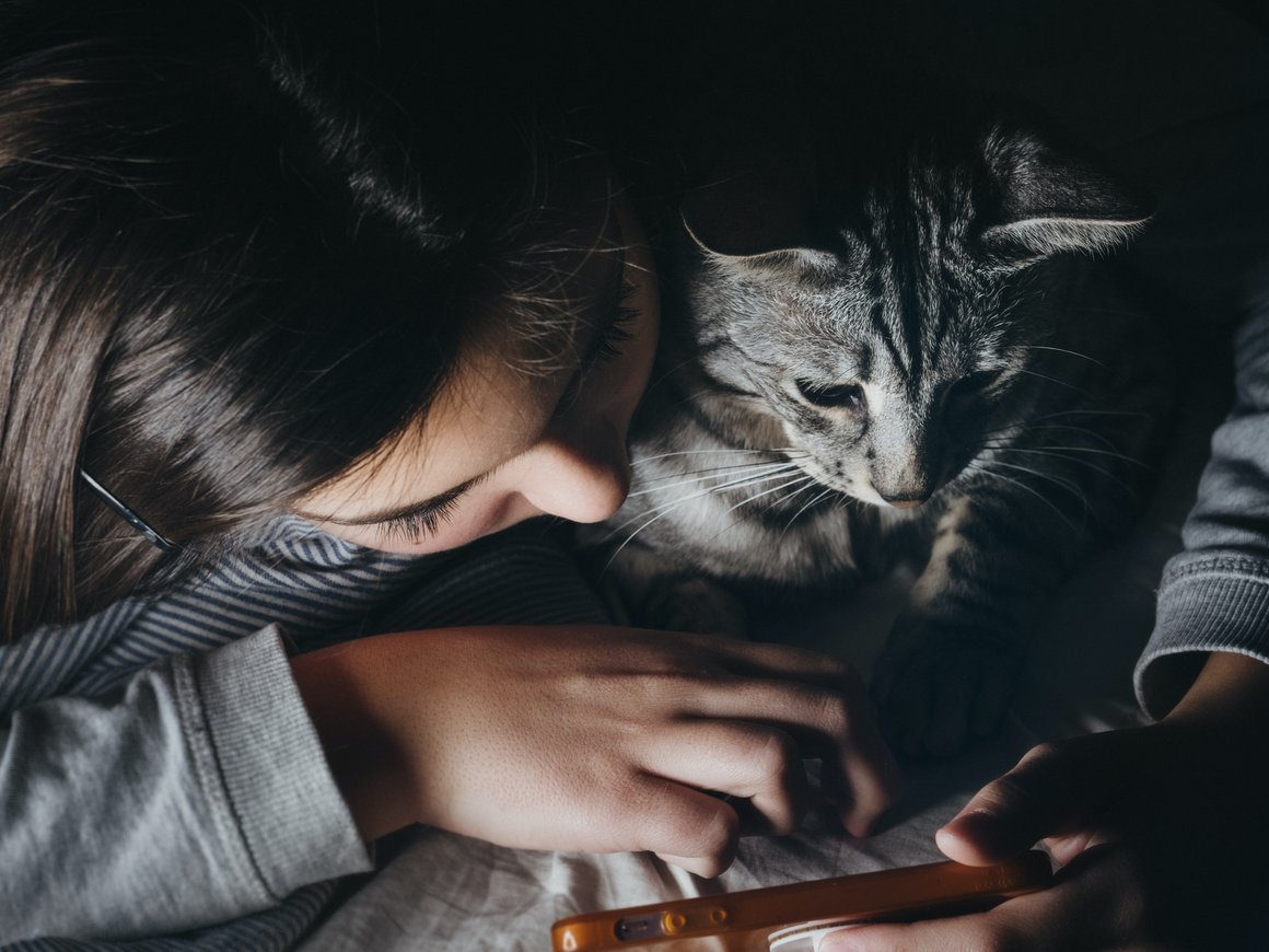 Teddy Food запустил AR-проект с возможностью увидеть питомца из приюта у себя дома