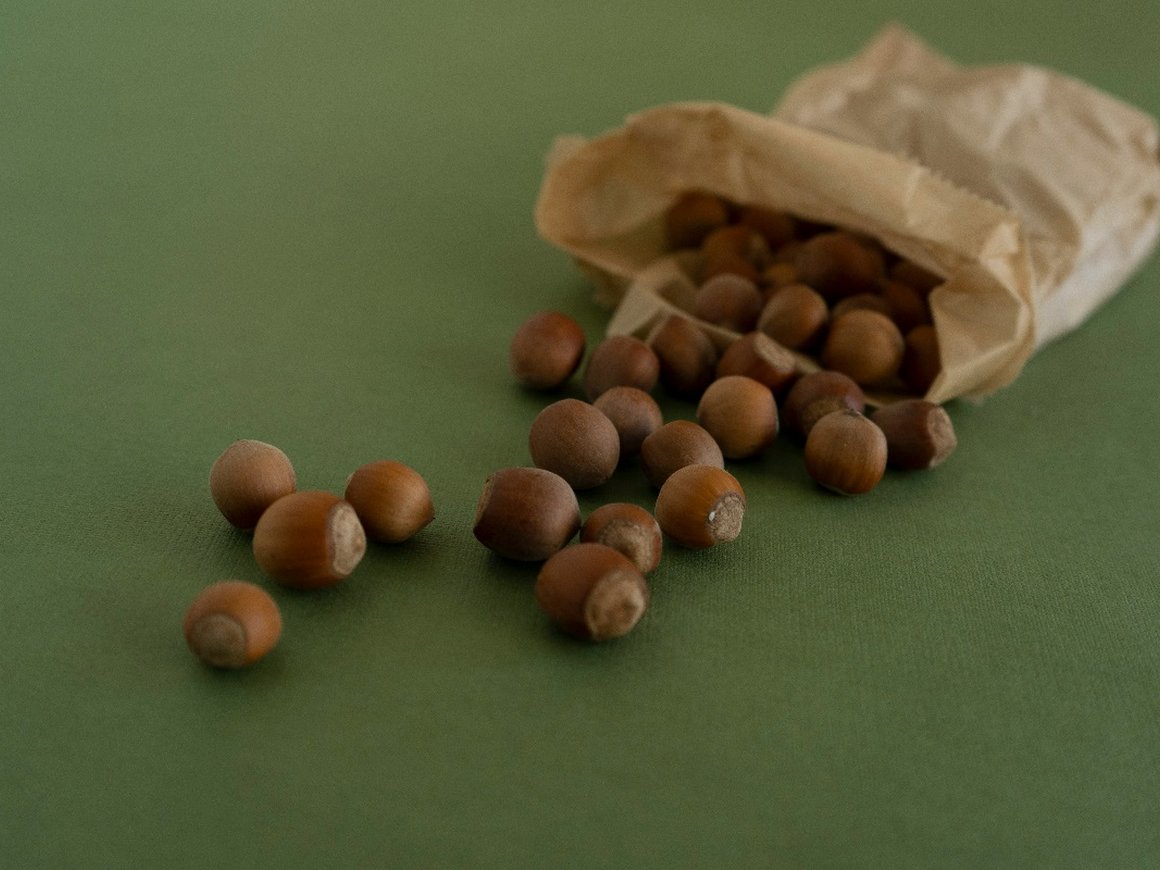 Ореховый бизнес, спрос на ИИ в работе, оценка Russ, обороты маркетплейсов: главное для бизнеса 3 августа