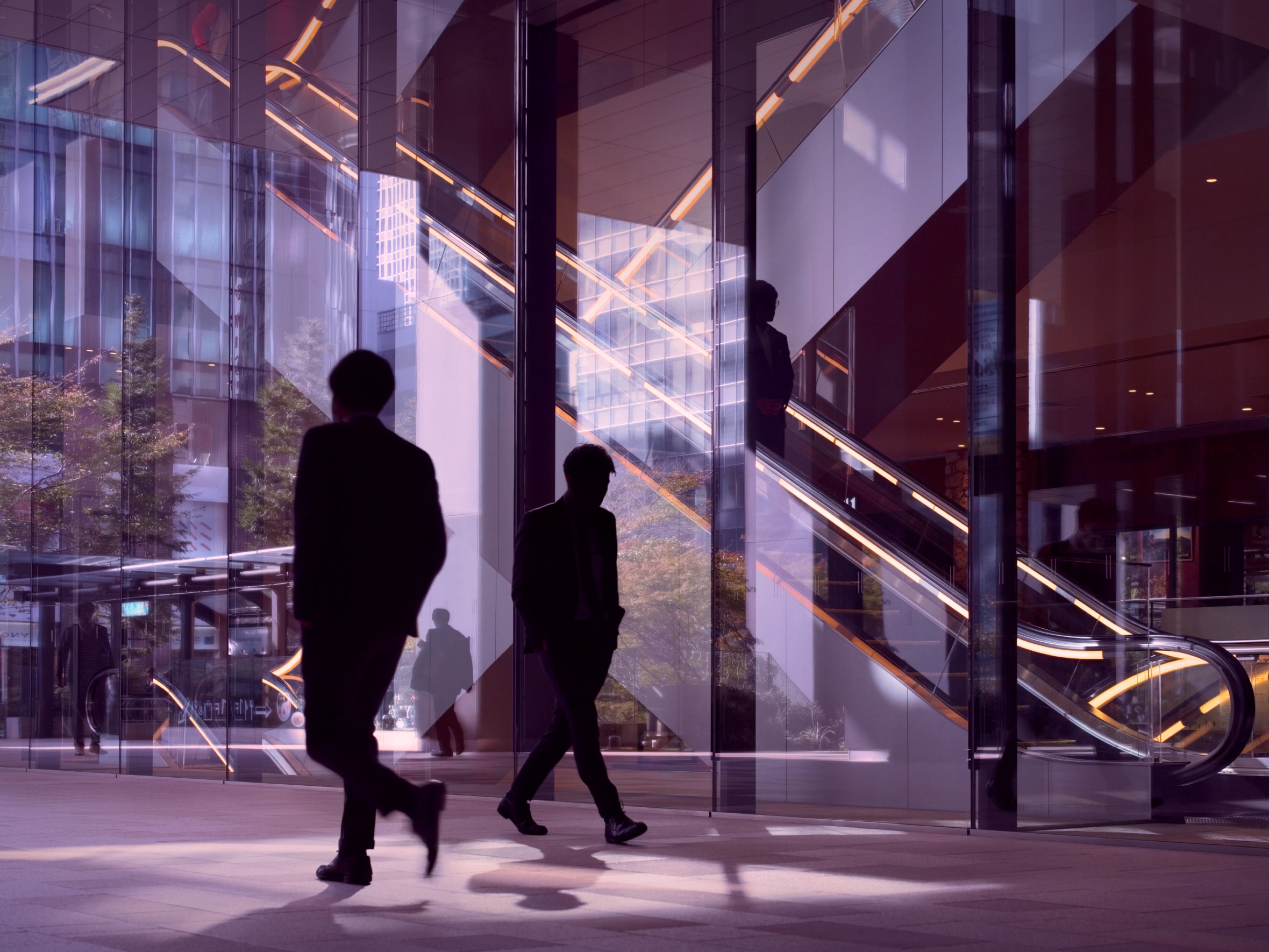 Wildberries вслед за Ozon стремится к брокерской лицензии: эксперты называют шаг логичным, но предупреждают о риске