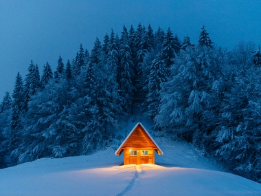Ленобласть обошла Подмосковье по аренде домов на Новый год, но не по цене: средняя в столичном регионе — 24 тыс. ₽