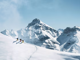Каждый второй зумер задумывался об уходе из офиса ради работы на природе: популярные сферы — экотуризм и экспедиции