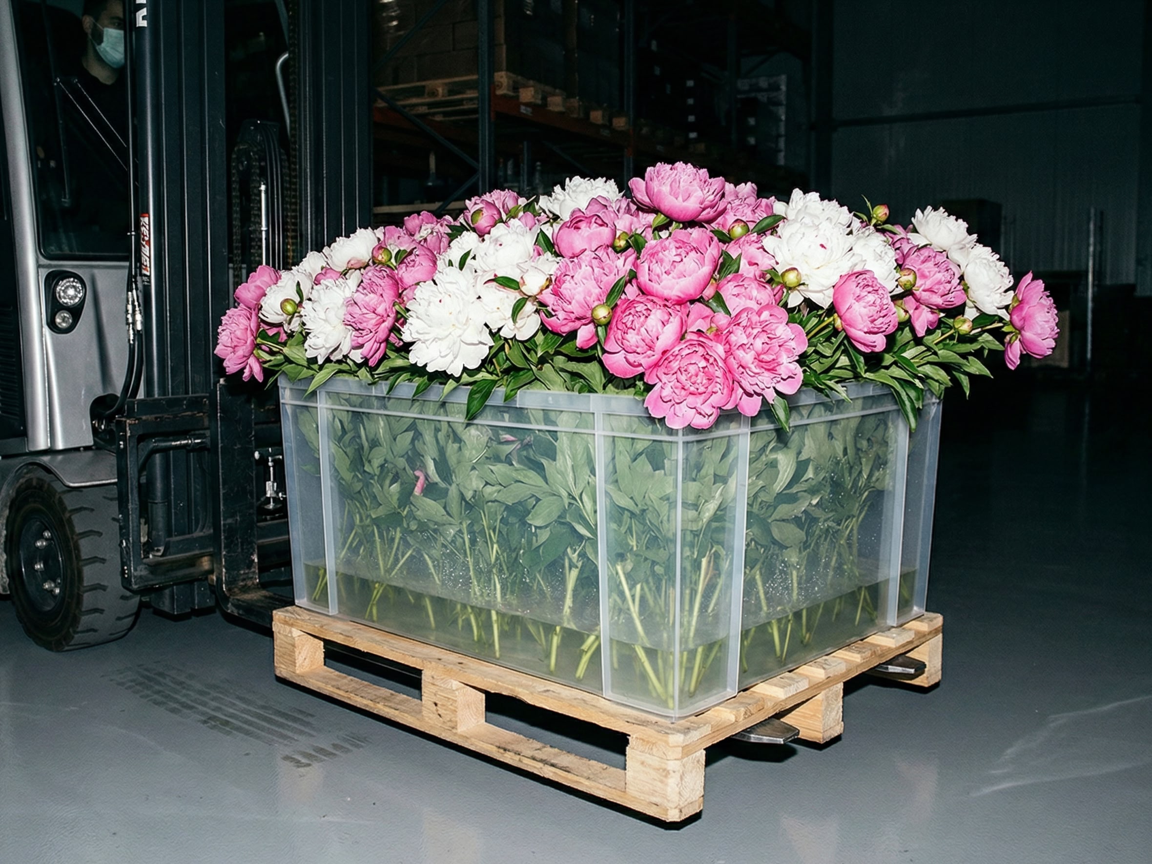 Flowwow запускает оптовые продажи от производителей: платформа планирует выйти на оборот 100 млн ₽ в 2026-м