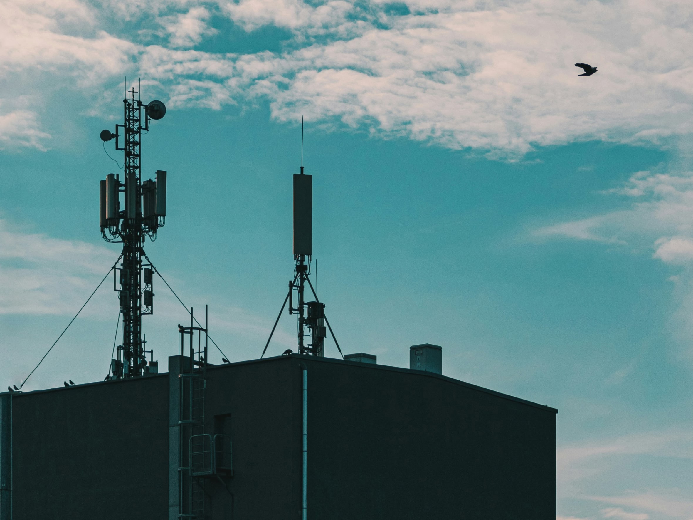 Сети 5G в России могут запустить летом — но из-за нехватки оборудования скорость интернета вырастет незначительно