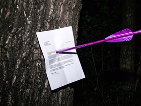 Стрела в дереве