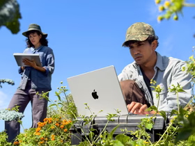 Мужчина ясным днём сидит в траве и смотрит в экран MacBook Pro, рядом стоит девушка в шляпе