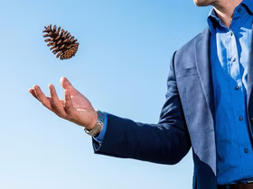 Мужчина в костюме подкидывает шишку
