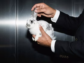 Почти 80% россиян не смогли отличить ИИ-изображения от реальных — лучше всех нейроконтент распознавали зумеры