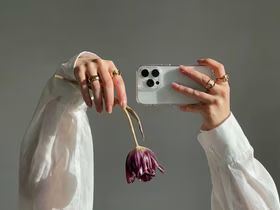 Руки держат смартфон и цветок